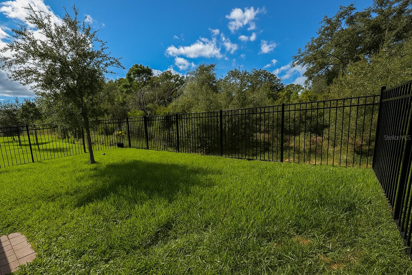 PALMS/SERENOA PH 4 - Residential