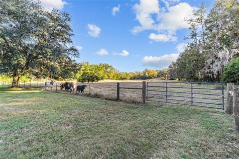 Tiny photo for 2821 SE 80th Street, Ocala, FL 34480 (MLS # OM693692)