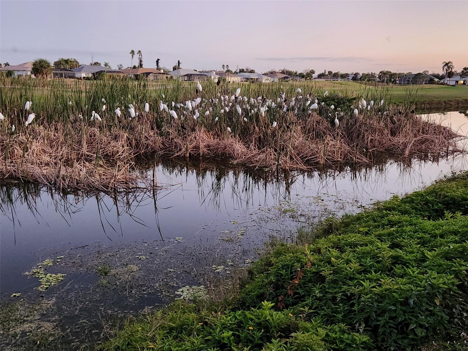 ROTONDA PEBBLE BEACH - Residential