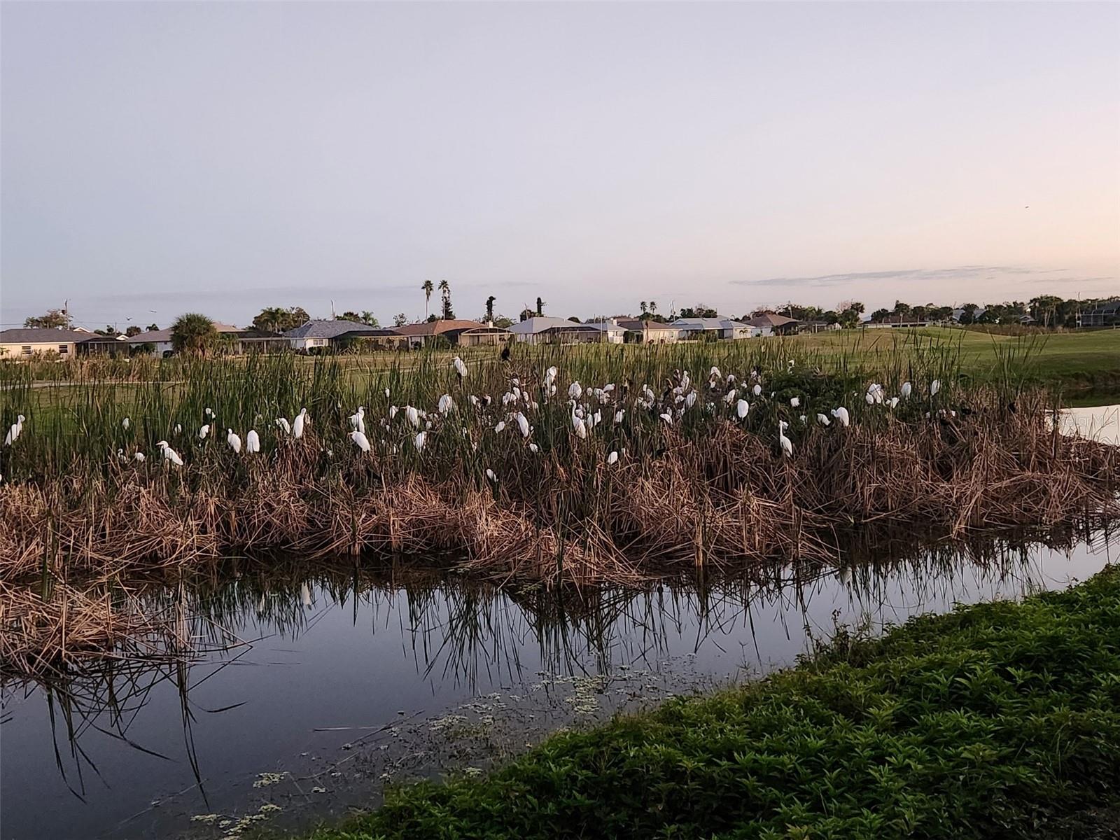 ROTONDA PEBBLE BEACH - Residential
