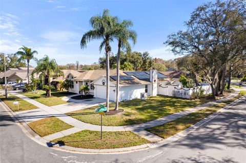 15101 REDVALE DRIVE TAMPA FL 33625