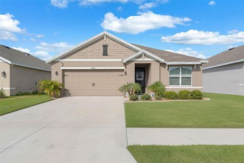10228 CLOUDBURST COURT RIVERVIEW FL 33578