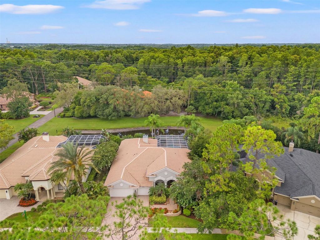 Photo of 2871 Grey Oaks Boulevard, Tarpon Springs, FL 34688 (MLS # W7877374)