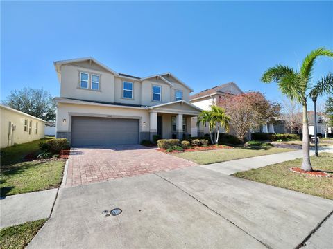 A home in RIVERVIEW