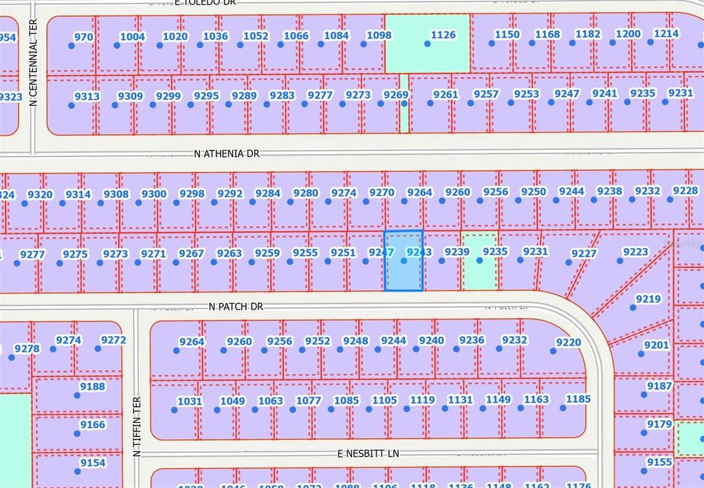 Photo of 9243 N Patch Drive, Citrus Springs, FL 34434 (MLS # OM715395)