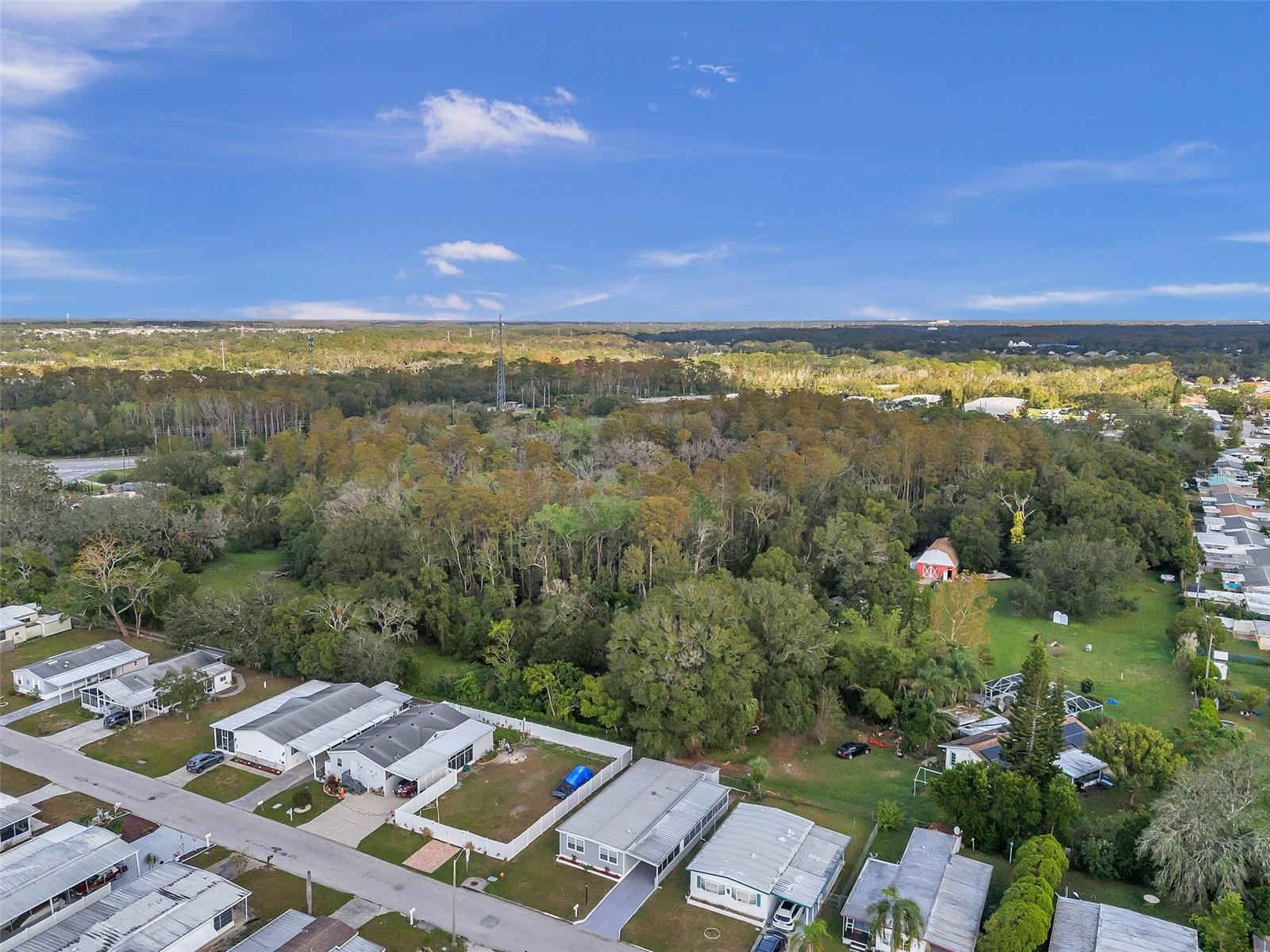 BUENA VISTA MANOR - Residential