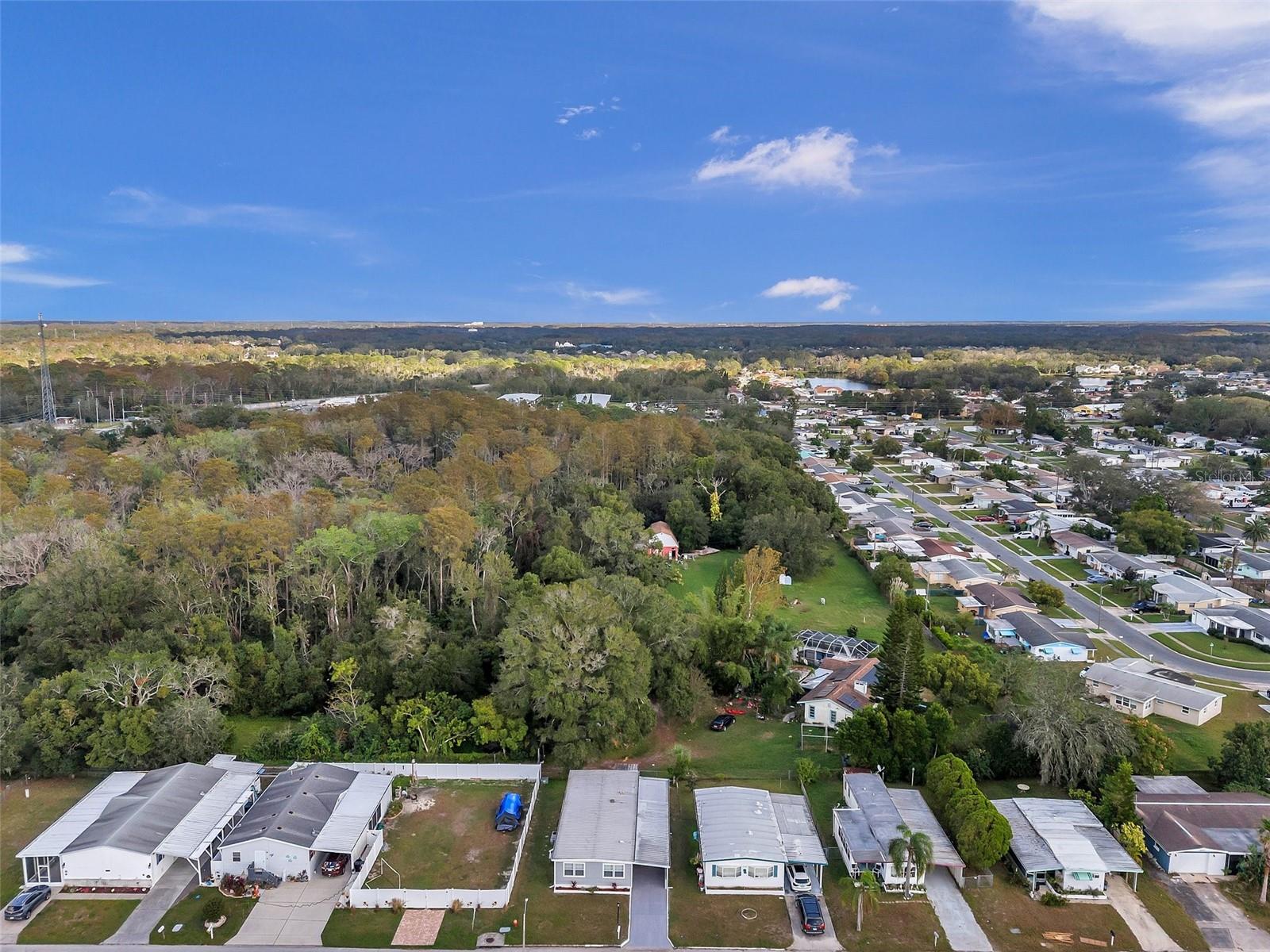 BUENA VISTA MANOR - Residential