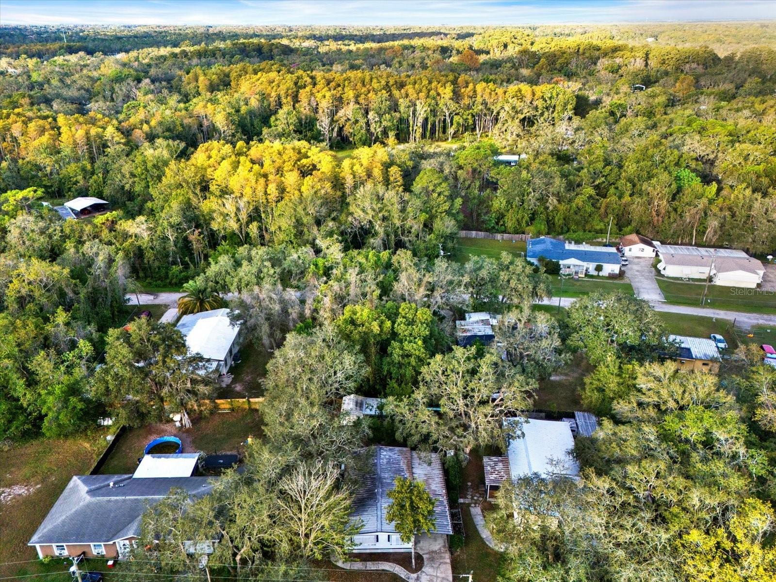 MOON LAKE ESTATES - Residential