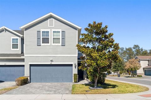 1101 ARBOUR VERDE COURT TAMPA FL 33613