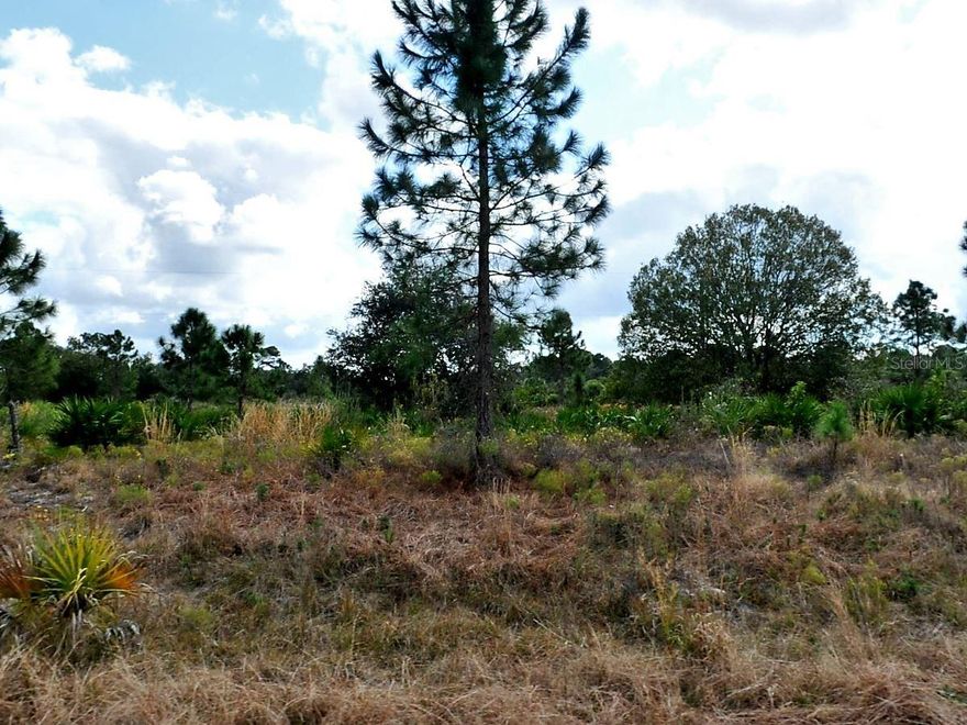 Nice lot located in a quiet area.