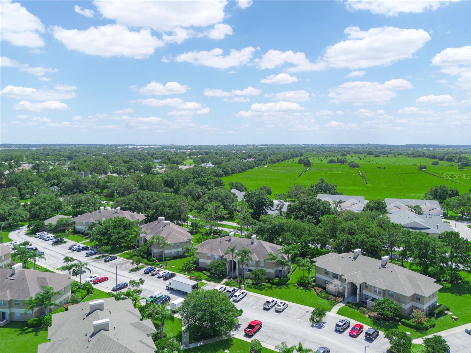 1102 EAGLE POND DRIVE 1102
