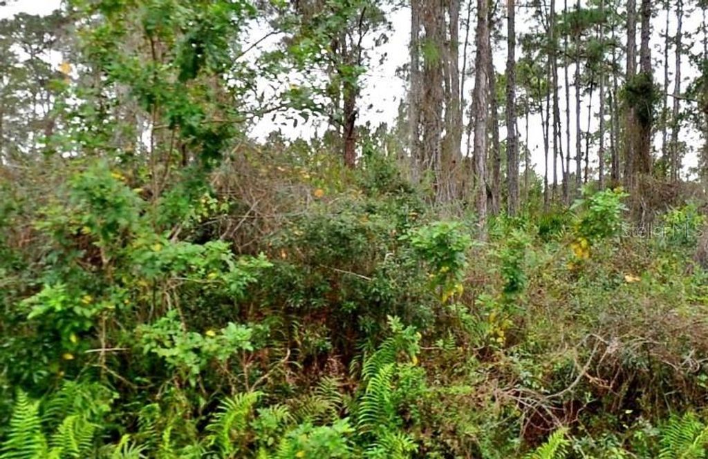 Photo of Jacaranda Avenue, North Port, FL 34291 (MLS # A4689164)