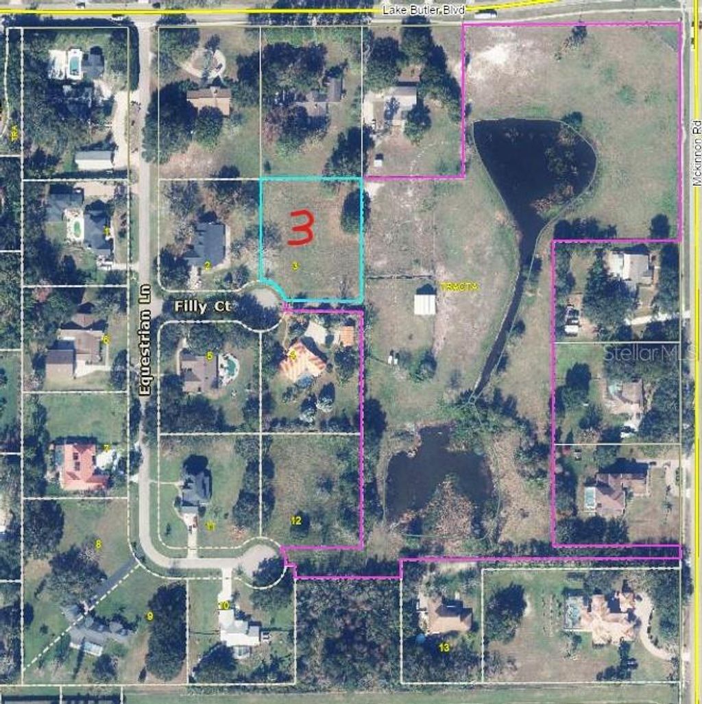 Photo of 13125 Filly Court, Windermere, FL 34786 (MLS # O6395698)