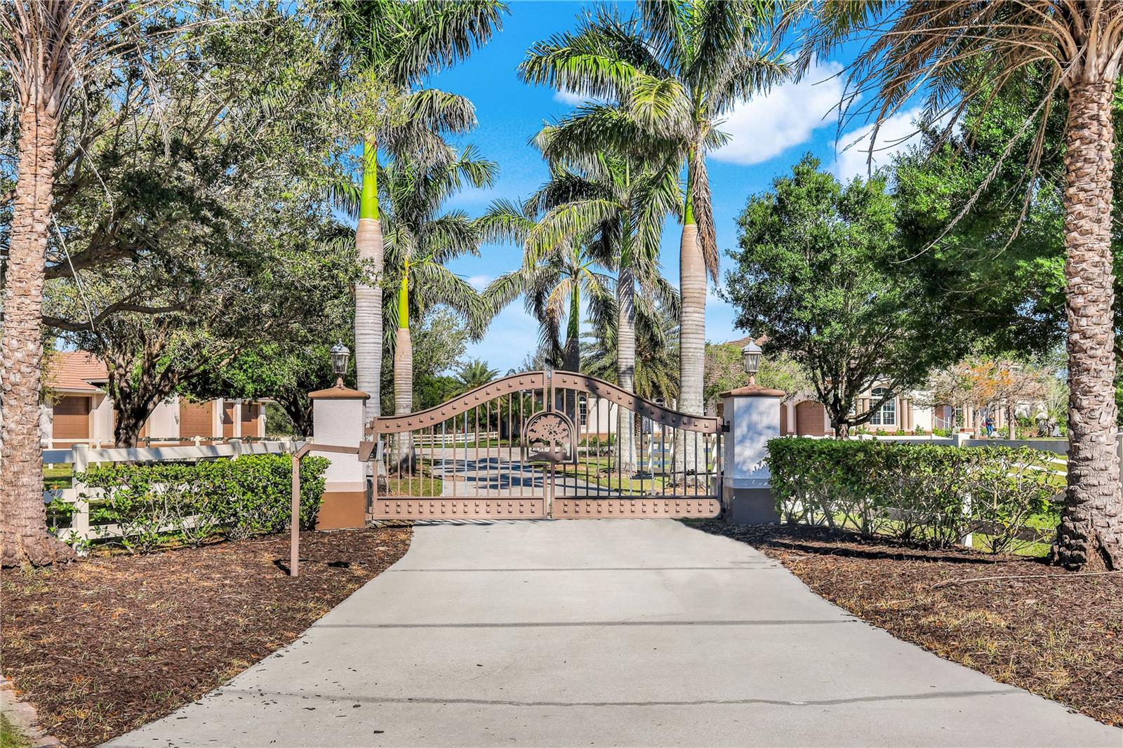 3551 RIDGELAND COURT