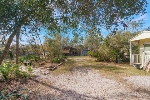 A home in DELTONA