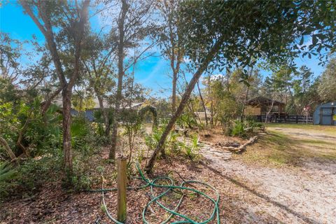 A home in DELTONA