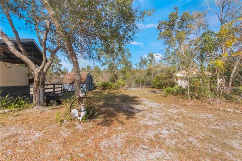 A home in DELTONA