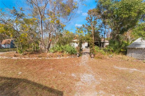 A home in DELTONA