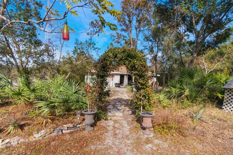 A home in DELTONA