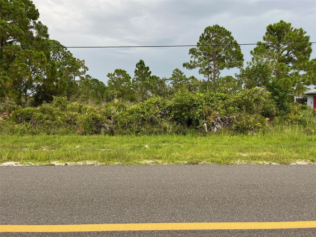 Photo of 617 Washington Boulevard, Lake Placid, FL 33852 (MLS # O6346605)