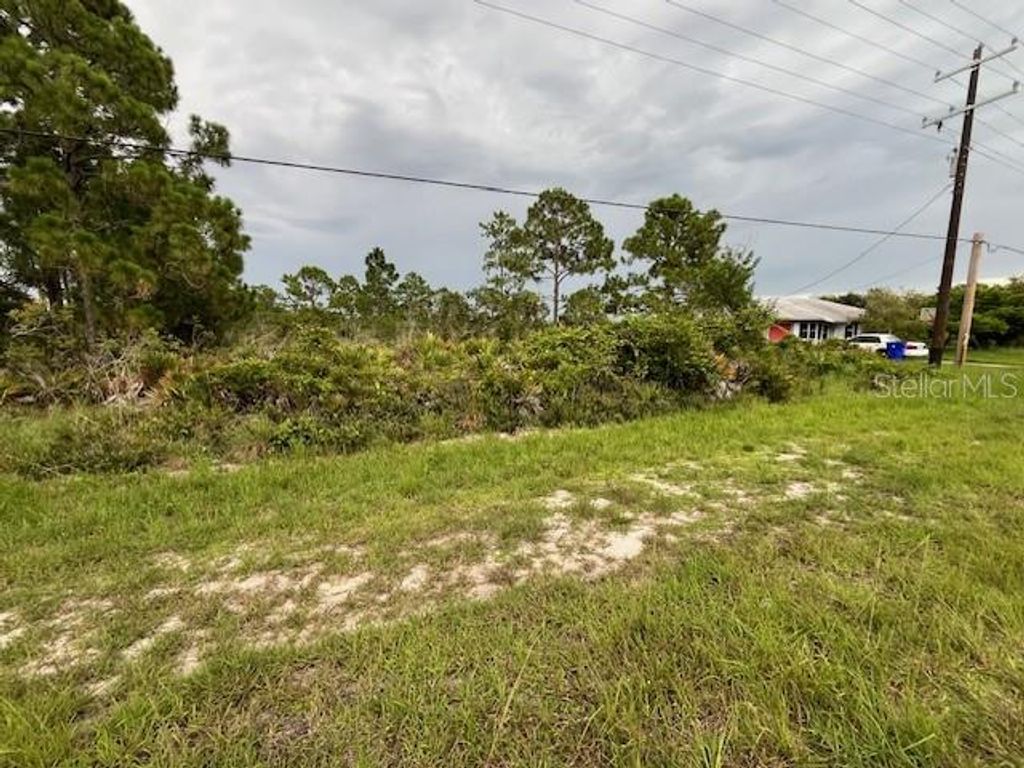 Photo of 617 Washington Boulevard, Lake Placid, FL 33852 (MLS # O6346605)