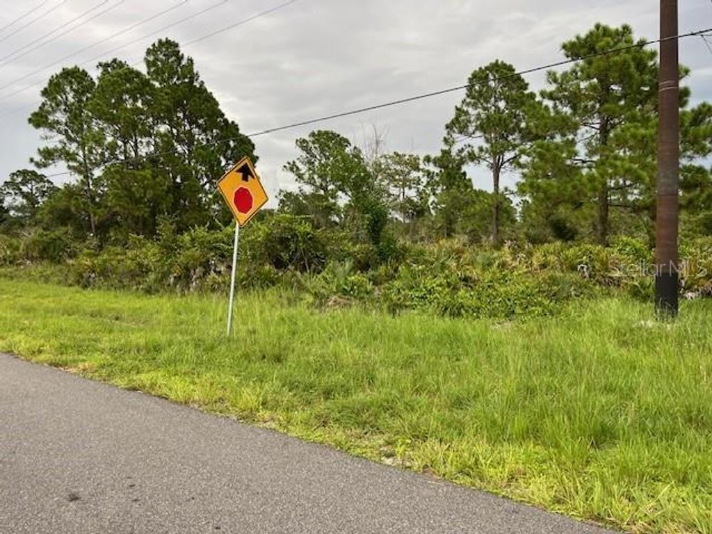 Photo of 617 Washington Boulevard, Lake Placid, FL 33852 (MLS # O6346605)