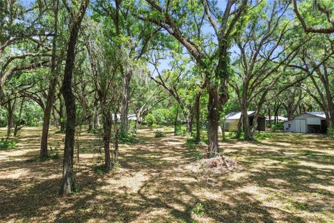 Tiny photo for 1153 Cr 722, Webster, FL 33597 (MLS # G5112182)