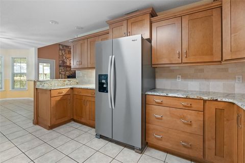 Tiny photo for 1153 Cr 722, Webster, FL 33597 (MLS # G5112182)