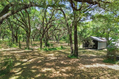Tiny photo for 1153 Cr 722, Webster, FL 33597 (MLS # G5112182)