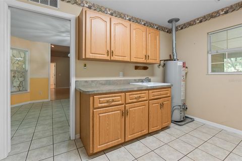 Tiny photo for 1153 Cr 722, Webster, FL 33597 (MLS # G5112182)