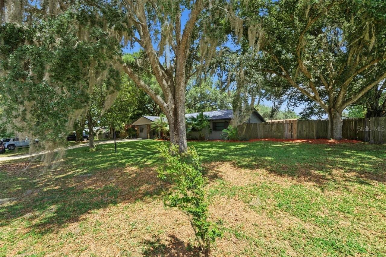 38929 TALL DRIVE