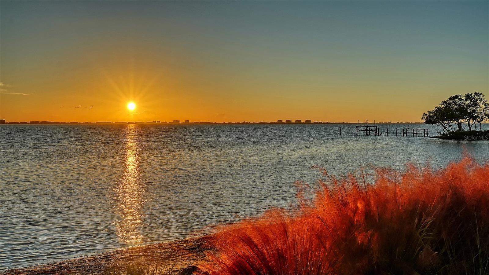 NEUBAUER W L RESUB - Residential