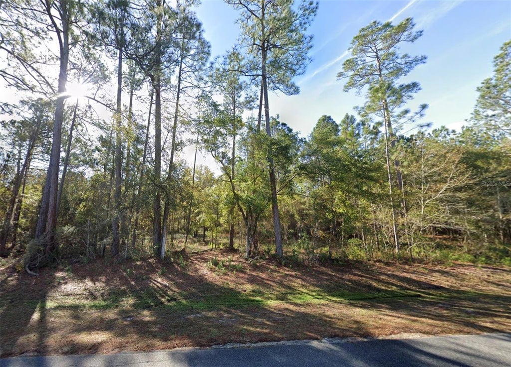 Photo of 200 NW Scenic Lake Drive, Lake City, FL 32055 (MLS # A4708378)