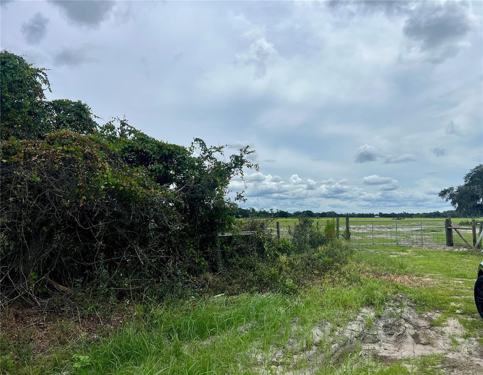 LAKE WALES ESTATES - Land