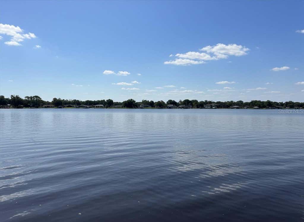 Photo of 3704 Swans Landing Drive, Land O Lakes, FL 34639 (MLS # TB8534970)