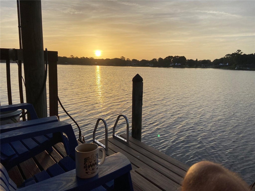 Photo of 3704 Swans Landing Drive, Land O Lakes, FL 34639 (MLS # TB8534970)