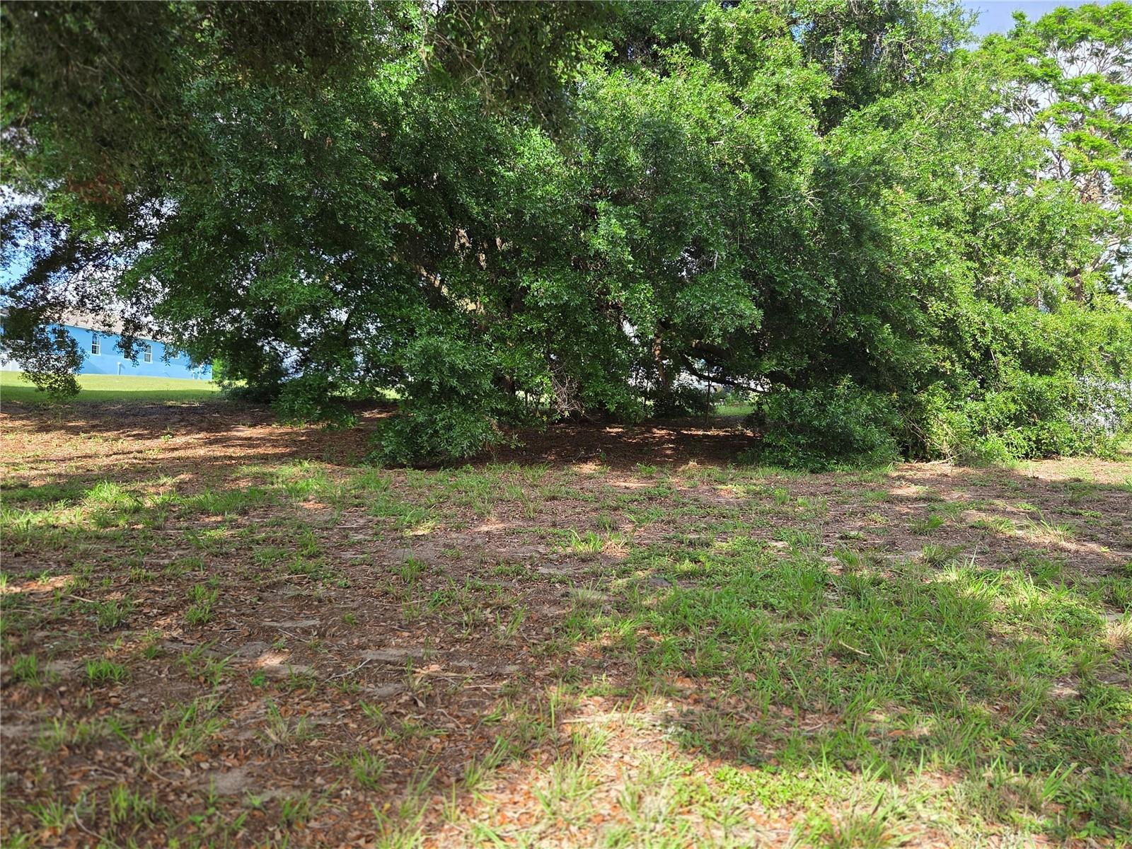 EUSTIS BELMONT HEIGHTS - Land