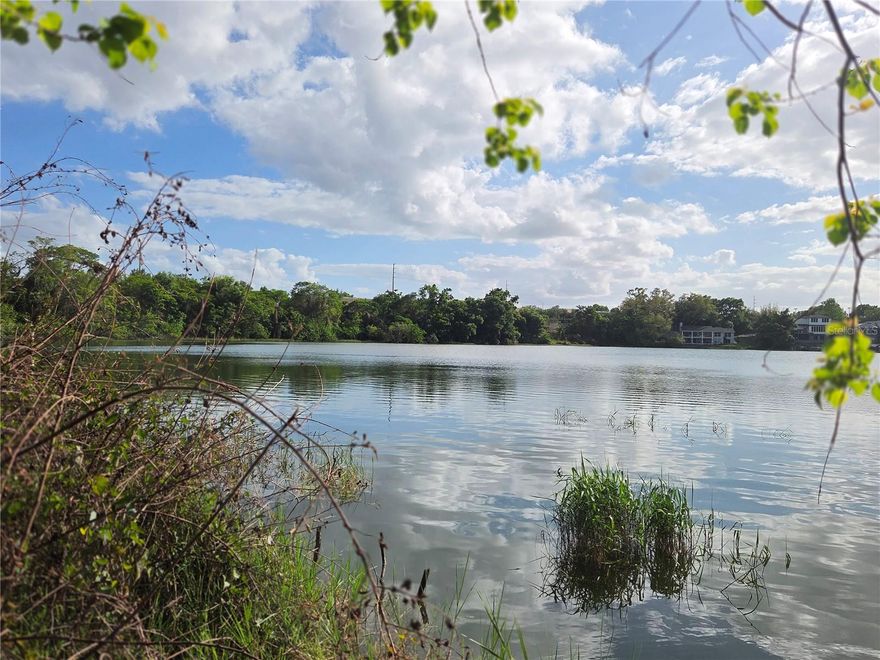 Discover the perfect canvas for your dream home on the shores of Lake Louise! This stunning ¾-acre homesite offers a rare opportunity to enjoy true Florida lakefront living on a pristine, 19 acre crystal-clear lake. Imagine starting your mornings with coffee by the water, spending afternoons fishing from your private dock, kayaking across calm waters, or simply soaking up the sunshine in your own peaceful retreat with 93 feet of lake frontage.

With NO HOA, you have the freedom to design and build exactly what you envision. Bring your own builder and create a custom home tailored to your lifestyle. The lot is 80% cleared, saving you time and expense, and making it ready for your vision to come to life.

Perfectly positioned just minutes from the charm and convenience of Eustis, Tavares, and Mount Dora, you’ll enjoy easy access to boutique shopping, waterfront dining, festivals, and all the attractions that make Lake County so desirable.

Whether you're looking to build now or invest for the future, this exceptional lakefront property offers the space, freedom, and location to turn your dream into reality. Don’t miss your chance to own a slice of paradise on Lake Louise!