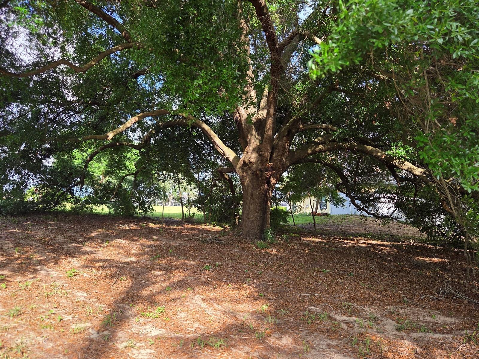 EUSTIS BELMONT HEIGHTS - Land