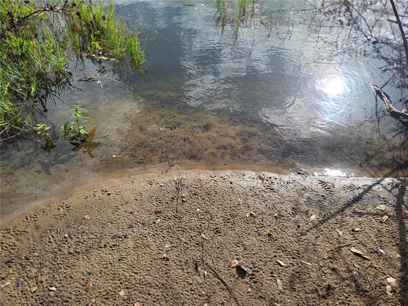 1408 WESTMORELAND AVENUE