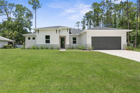 A home in PALM COAST