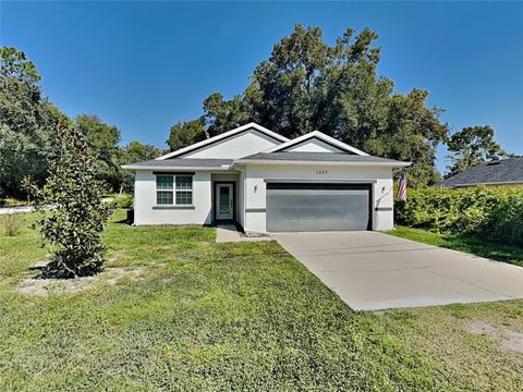 ORANGE CITY FL 32763