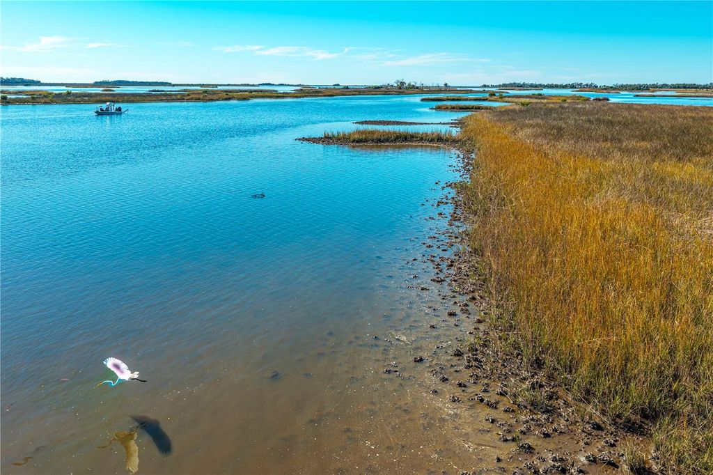 Photo of Clark Island, Cedar Key, FL 32625 (MLS # O6375079)