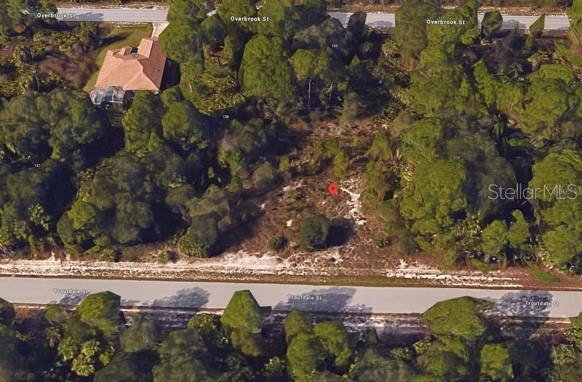 Welcome to 121 Troutdale St, a spacious residentially zoned lot located in a peaceful neighborhood of Port Charlotte, FL. This property is situated in a non-flood zone, helping reduce insurance costs and providing long-term peace of mind. With no HOA or deed restrictions, you’ll have the flexibility to build the home you’ve always envisioned. Conveniently located near shopping, dining, schools, and a short drive to I-75 and beautiful Gulf Coast beaches. Whether you're ready to build now or invest for the future, this lot is full of potential!