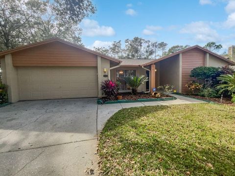 A home in TAMPA