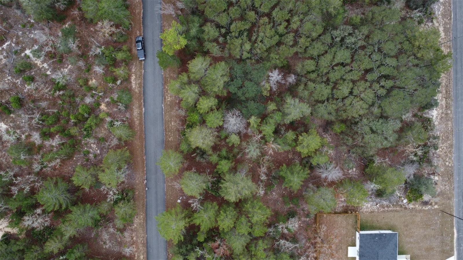 SILVER SPGS SHORES UN 35 - Land