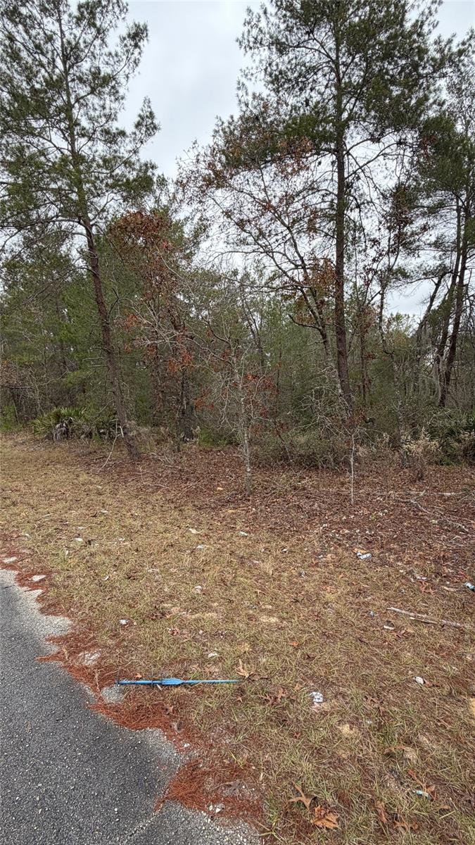 SILVER SPGS SHORES UN 35 - Land