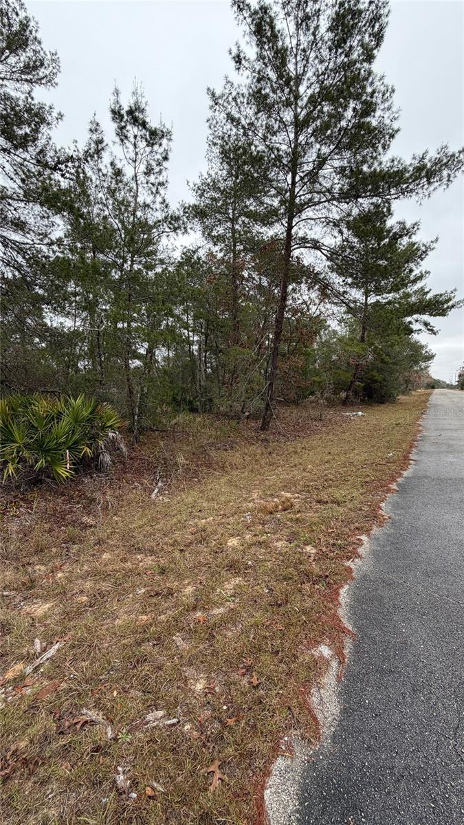 SILVER SPGS SHORES UN 35 - Land