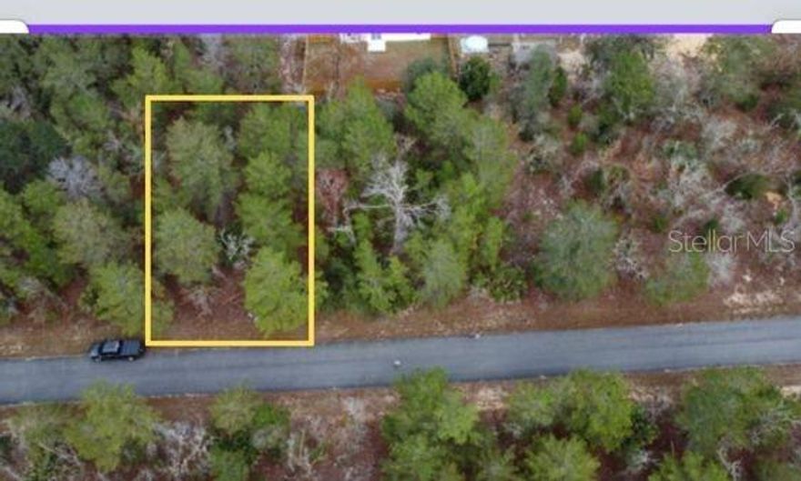 .23-acre residential lot, ready for your dream home. This quiet and serene lot is located near the Ocala National Forest, Natural Springs, and only 30 minutes from The Villages, where you'll find all your shopping, dining, and entertainment needs. The lot is located on a paved road, with electricity nearby for hookup. Don't miss your opportunity to live in this quiet country setting!