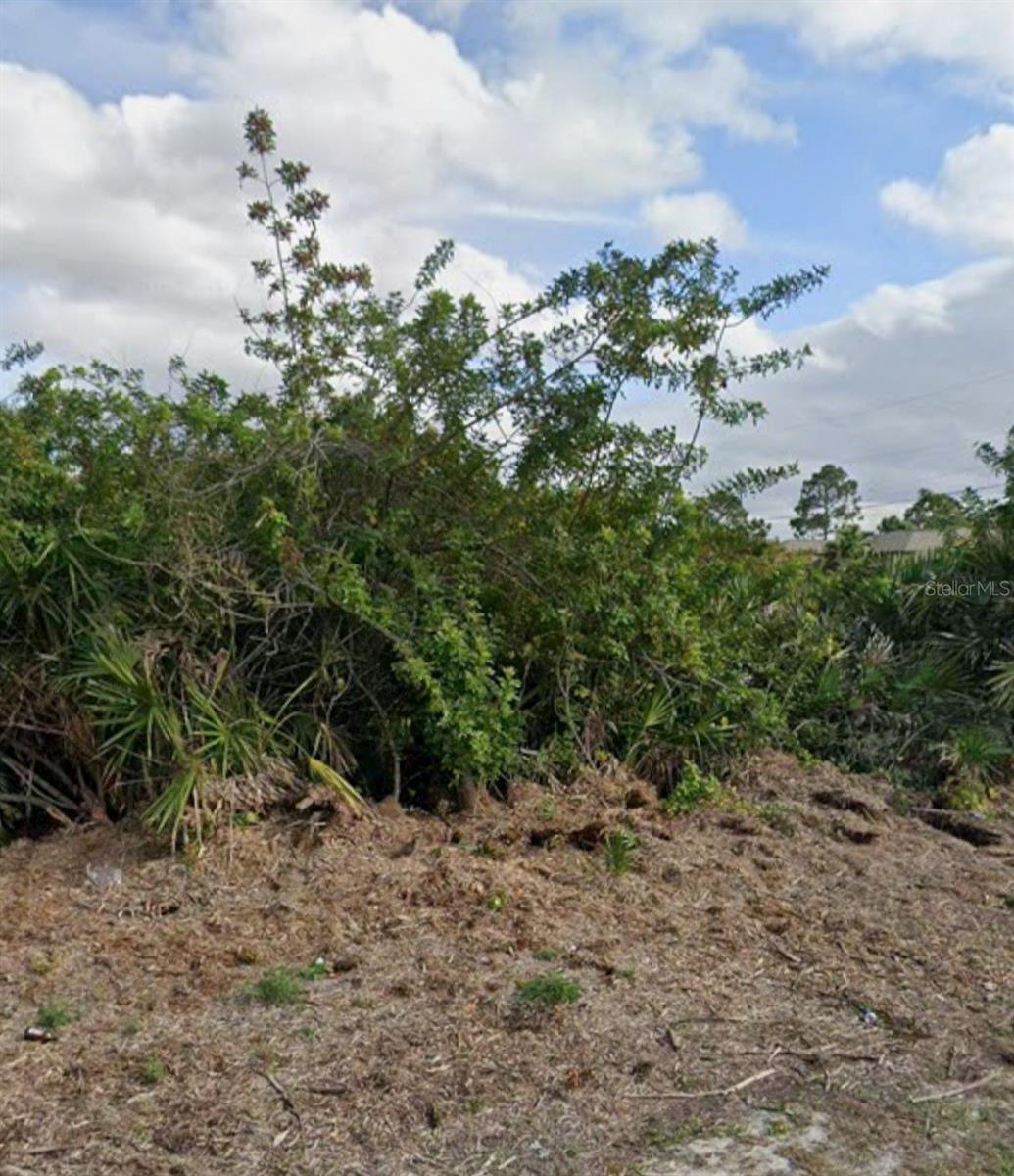 LEHIGH ACRES - Land